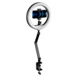 Apexel FL20 10 Inch LED Ring Light Foldable Metal Swing Arm Desk Lamp with Stand & Phone Holder - free shipping - PMC TechLife - Order now!