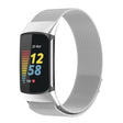 For Fitbit Charge 6 Milan Magnetic Metal Steel Mesh Watch Band(Silver) - Watch Bands by PMC TechLife | Online Shopping South Africa | PMC TechLife