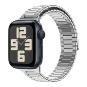 For Apple Watch SE 2023 40mm Bamboo Magnetic Stainless Steel Metal Watch Strap(Silver)