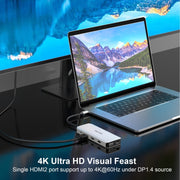 WAVLINK WL-UMD301 12 in 1 Multi-port Adapter 2*HDMI+1*VGA Triple Display USB-C Hub Dock