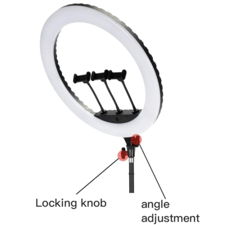 JMARY FM-21R With Remote Control Phone Clip 21-inch Dimmable LED Ring Light(EU Plug)
