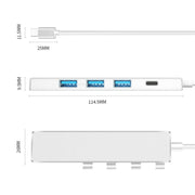 ADS-301C USB-C / Type-C to USB-C + USB 3.0 + 3 x USB 2.0 Expander HUB(Silver)
