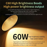 C60R 60W RGB Stage Lamp Professional Video Photography COB Fill Light With 8 Batteries, Plug:US Plug