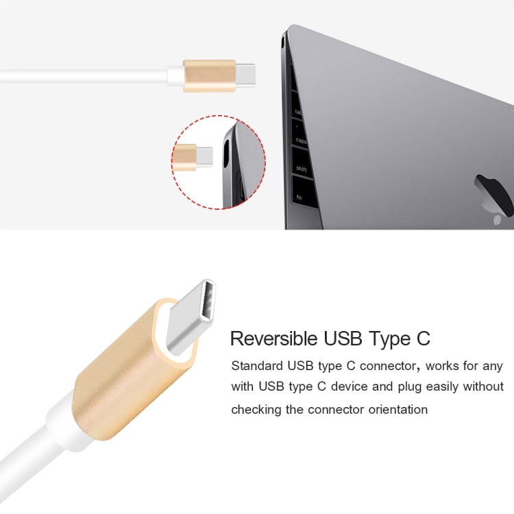 USB Type C to VGA 3-in-1 Hub Adapter supports USB Type C tablets and laptops for Macbook Pro / Google ChromeBook(Silver)