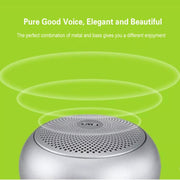 EWA A110mini High Hidelity Bluetooth Speaker Small Size High Power Bass, TWS Bluetooth Technology, Support TF(Silver)