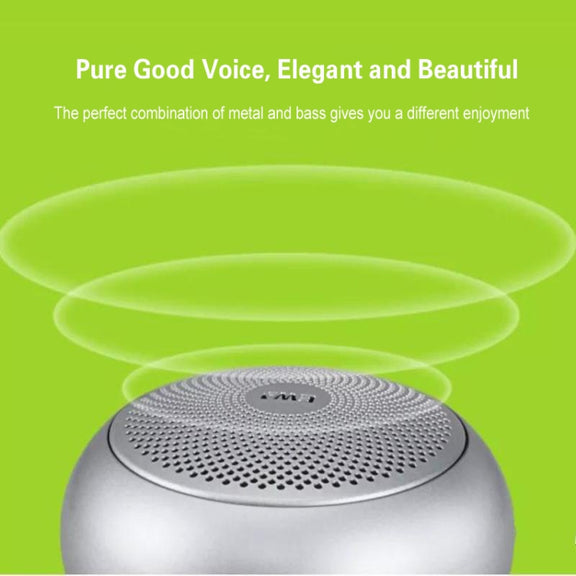 EWA A110mini High Hidelity Bluetooth Speaker Small Size High Power Bass, TWS Bluetooth Technology, Support TF(Silver)