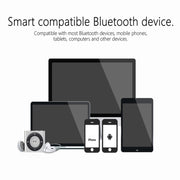 EWA A110mini High Hidelity Bluetooth Speaker Small Size High Power Bass, TWS Bluetooth Technology, Support TF(Silver)