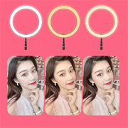Portable Collapsible Studio-Level Professional Fill Light Mobile Phone Bracket LED Ring Light(Black)