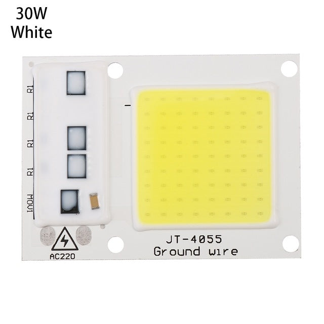 High Power 220V LED FloodlightCool/Warm White COB LED Chip IP65 Smart IC Driver Lamp(30W white)