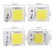 High Power 220V LED FloodlightCool/Warm White COB LED Chip IP65 Smart IC Driver Lamp(30W white)