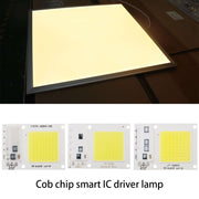 High Power 220V LED FloodlightCool/Warm White COB LED Chip IP65 Smart IC Driver Lamp(30W white)