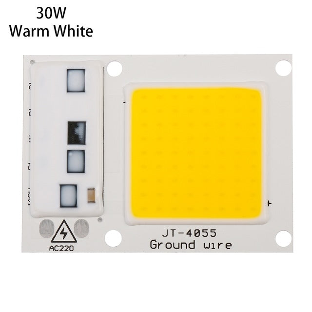 High Power 220V LED FloodlightCool/Warm White COB LED Chip IP65 Smart IC Driver Lamp(30W warm white)