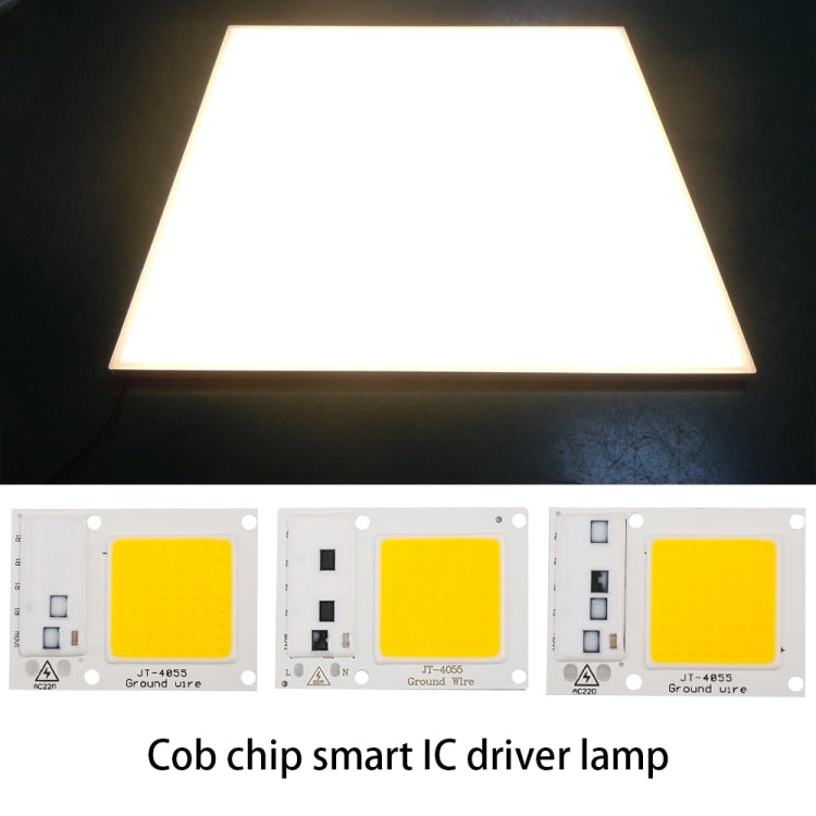 High Power 220V LED FloodlightCool/Warm White COB LED Chip IP65 Smart IC Driver Lamp(30W warm white)