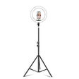 14 inch+Phone Clip Dimmable Color Temperature LED Ring Fill Light Live Broadcast Set With 2.1m Tripod Mount, CN Plug - Ring Light by PMC TechLife | Online Shopping South Africa | PMC TechLife | Buy Now Pay Later Mobicred