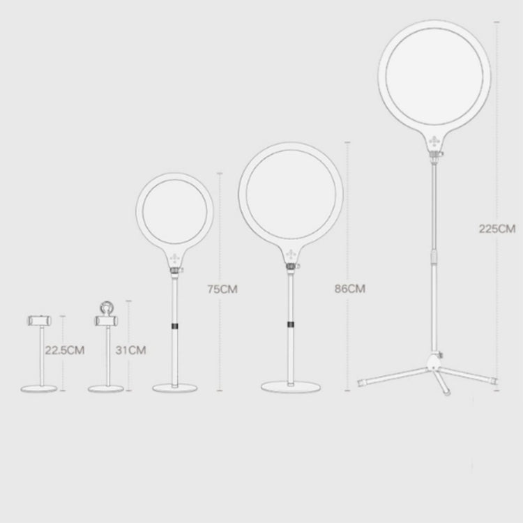 10 inch 26cm Live Broadcast Photography Desktop Beauty Fill Light Bracket, Style:Medium Version+Bracket(Black)