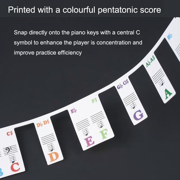 Children Beginner Piano Keyboard Color Stickers Musical Instrument Accessories, Style: Piano Keys 61 keys