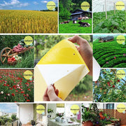 Double-sided Stick Insect Board Yellow Board Melon Fruit Fly Trap Board