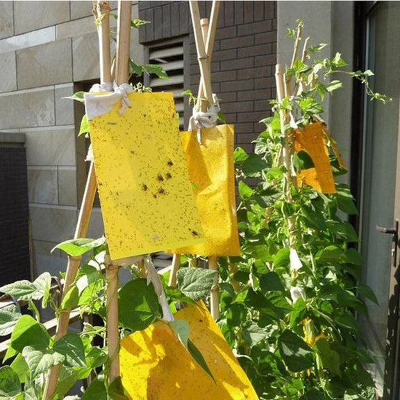 Double-sided Stick Insect Board Yellow Board Melon Fruit Fly Trap Board