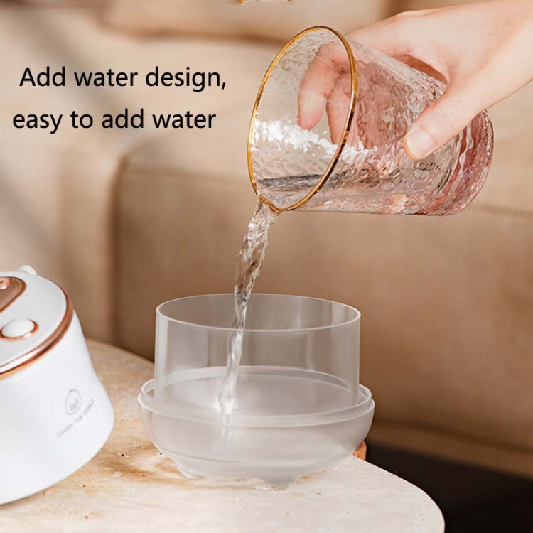 F08 Wired Water Replenishing Double Spray Humidifier LED Night Light Humidifier(White)