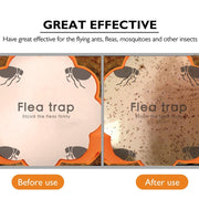 Household Flea Traps Drug-free Insect Trap Lamp, Plug Type:US Plug