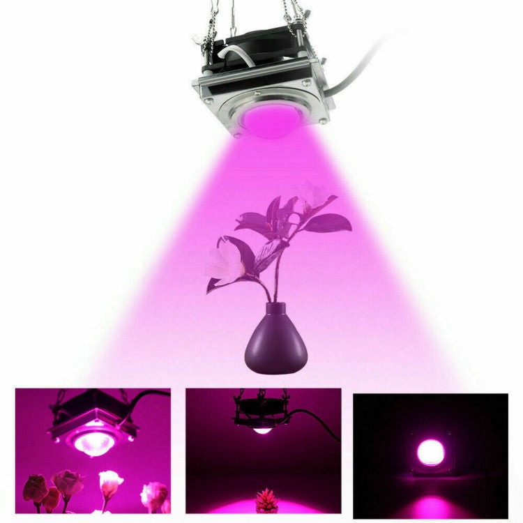 COB Plant Growth Light LED Vegetable Planting Succulent Light, Light:Full Spectrum(EU Plug 220V)