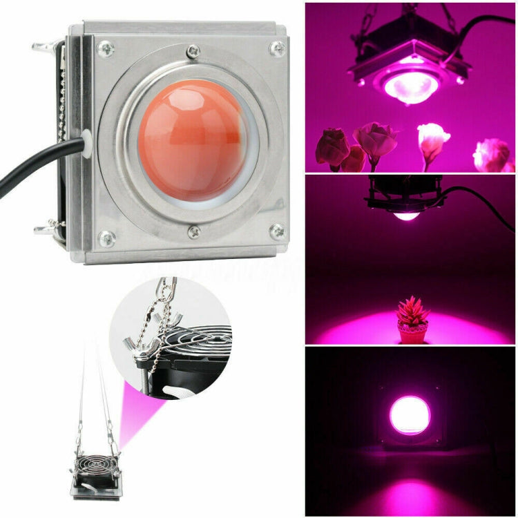 COB Plant Growth Light LED Vegetable Planting Succulent Light, Light:Full Spectrum(EU Plug 220V)