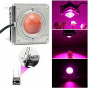 COB Plant Growth Light LED Vegetable Planting Succulent Light, Light:Full Spectrum(EU Plug 220V)