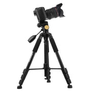 Q111 4-Section Folding Legs Live Broadcast Aluminum Alloy Tripod Mount with Three-dimensional Damping Tripod Heads(Red)