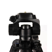 Q111 4-Section Folding Legs Live Broadcast Aluminum Alloy Tripod Mount with Three-dimensional Damping Tripod Heads(Black)