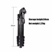 Q111 4-Section Folding Legs Live Broadcast Aluminum Alloy Tripod Mount with Three-dimensional Damping Tripod Heads(Black)
