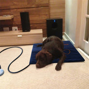 Pet Heating Pad Water-resistant and Anti-Scratch Electric Blanket, Size: 60x45cm, Specification: JP Plug