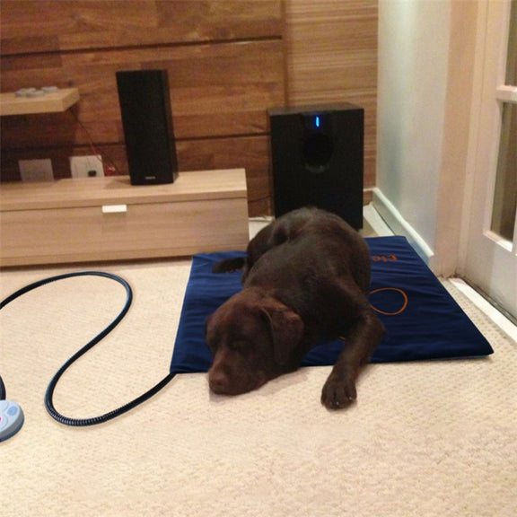 Pet Heating Pad Water-resistant and Anti-Scratch Electric Blanket, Size: 60x45cm, Specification: JP Plug