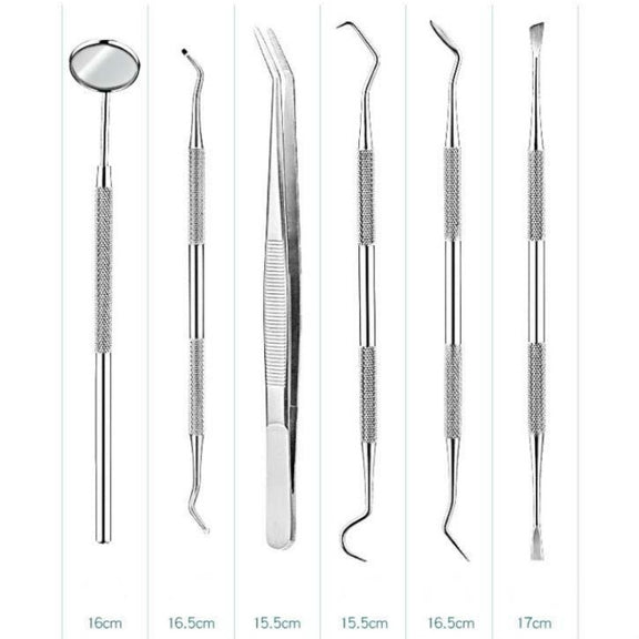 3 in 1 Silver Box Stainless Steel Dental Tools Dental Care Tartar Tool Dentist Tool Set