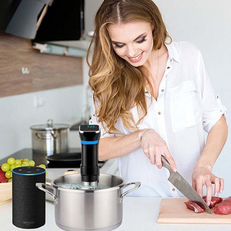 Low Temperature Slow Cooker Thawed Vacuum Steak Machine, Plug Type:UK Plug