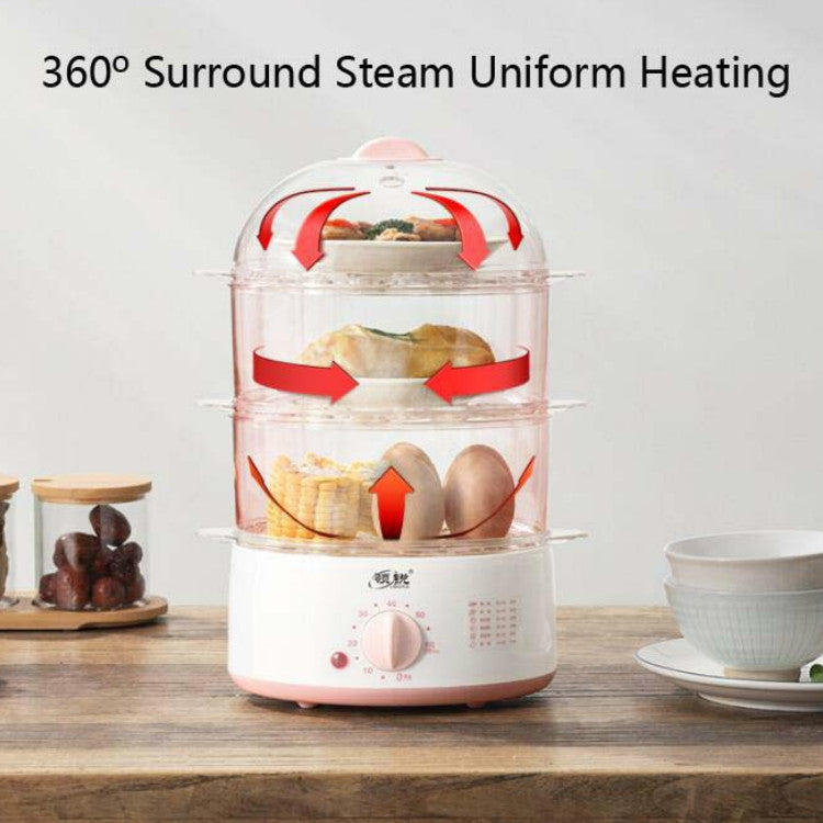 LINGRUI Timer Mini Multi-Function Egg Cooker Automatic Power Off Home Breakfast Machine, CN Plug, Specification:Double Layers(Grey)