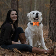 Automatic Voice Control Bark Arrester Collar Pet Supplies Trainer(White)