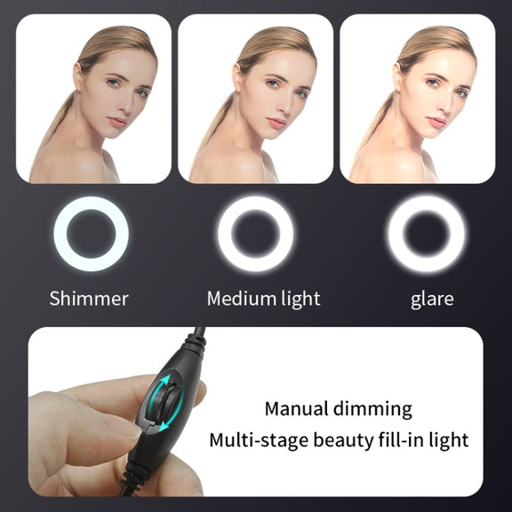 A9mini USB Drive-Free HD Fill Light Camera with Microphone, Pixel: 5.0 Million Pixels 2K Auto Focus