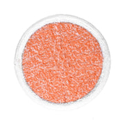 2 PCS Steam Mop Cleaning Replacement Cloth for Bissell 2124/2039A Series(Orange)
