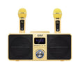 SDRD SD309 Wireless Microphone Bluetooth Audio All-In-One Machine(Golden) - Microphone by PMC TechLife | Online Shopping South Africa | PMC TechLife | Buy Now Pay Later Mobicred