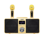 SDRD SD309 Wireless Microphone Bluetooth Audio All-In-One Machine(Golden)