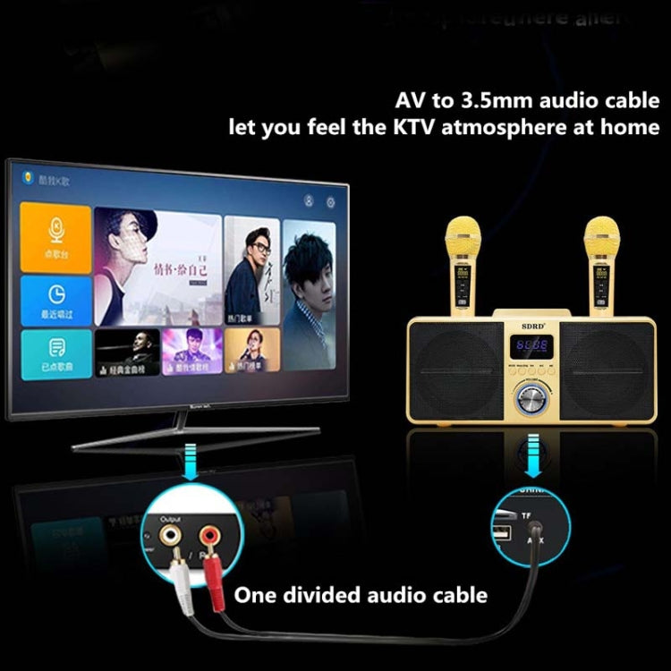 SDRD SD309 Wireless Microphone Bluetooth Audio All-In-One Machine(Golden)