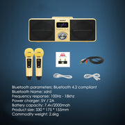 SDRD SD309 Wireless Microphone Bluetooth Audio All-In-One Machine(Golden)