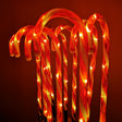 10 in 1 Christmas Cane Lights Holiday Indoor Garden Decoration Lights(US Plug) - Christmas Decoration Lamps by PMc TechLife | Online Shopping South Africa | PMc TechLife | Buy Now Pay Later Mobicred
