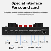 V8S Sound Card Mobile Phone Computer Anchor Live K Song Recording Microphone, Specification:V8S  + Golden Net BM700 Set