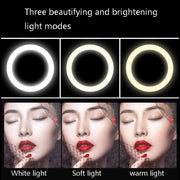 2 PCS Desktop Universal Retractable Multifunctional Mobile Phone Live Broadcast Stand, Specification: Double Positions With Fill Light