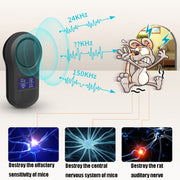 BG-305 Display Ultrasonic Insect Repellent, Product specifications: EU Plug(Black)