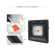 50W Ultra-Thin LED Plant Light, Full Spectrum COB Growth Light, Vegetable, Fruit & Flower Greenhouse Fill Light Without Plug