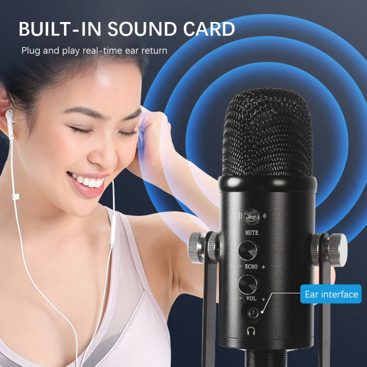 BM-86 USB Condenser Microphone Voice Recording Computer Microphone Live Broadcast Equipment Set, Specification: Cantilever Bracket Set