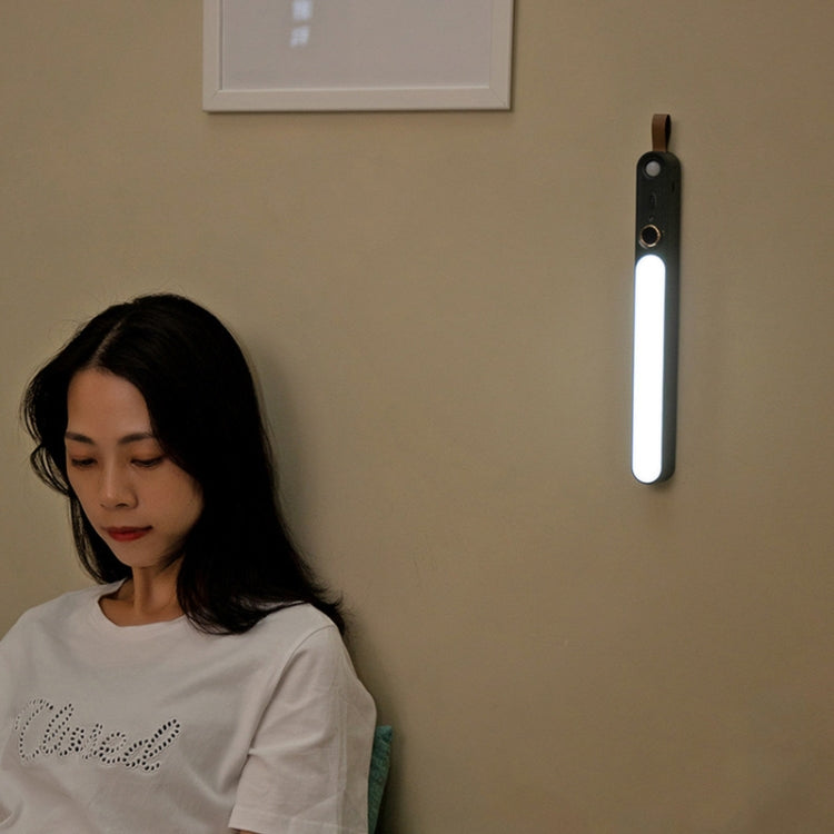 ZXD-01 Intelligent Human Body Induction Night Light LED Aisle Window Wall Light(White)