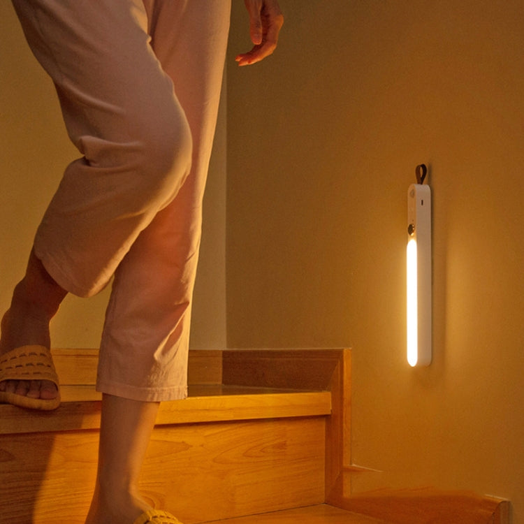 ZXD-01 Intelligent Human Body Induction Night Light LED Aisle Window Wall Light(White)